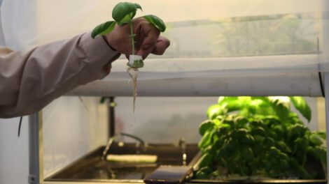 Huertos Smart: innovación tecnológica en la agricultura boliviana