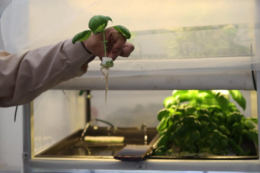 Huertos Smart: innovación tecnológica en la agricultura boliviana