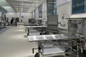 Muertes de migrantes en Arizona