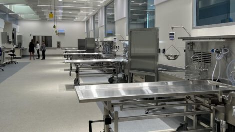 Muertes de migrantes en Arizona