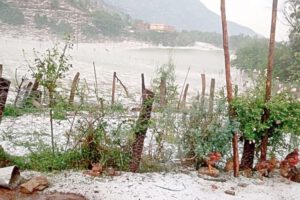 Granizada en Torrecillas causa daños en cultivos