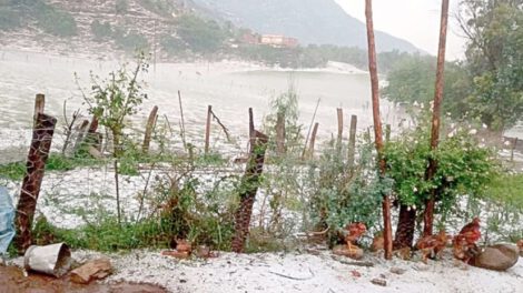 Granizada en Torrecillas causa daños en cultivos