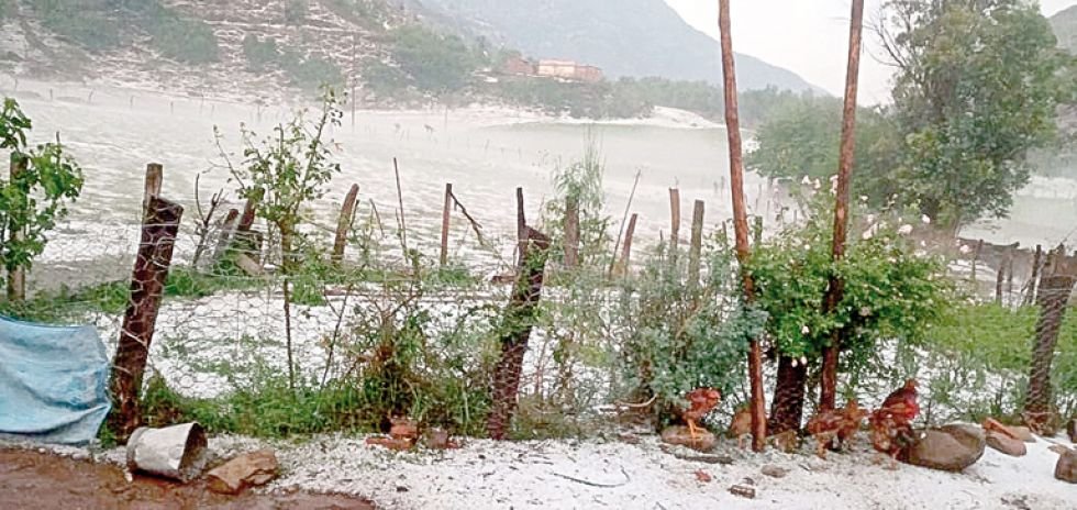 Granizada en Torrecillas causa daños en cultivos