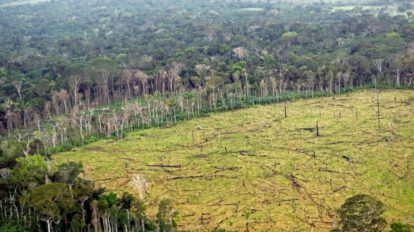 Financiación de la biodiversidad en la COP16 de Cali