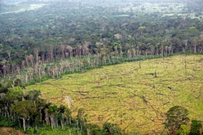 Financiación de la biodiversidad en la COP16 de Cali
