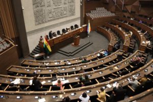 Cámara de Diputados debatirá sobre el presupuesto general 2025