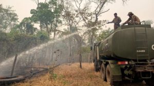 Incendios forestales en Santa Cruz tras lluvias