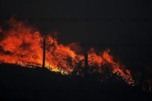 Incendios forestales y emisiones de CO2