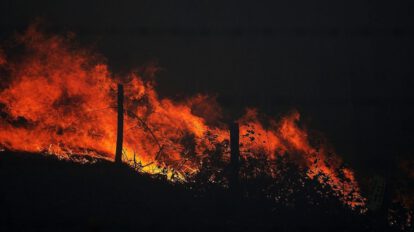 Incendios forestales y emisiones de CO2