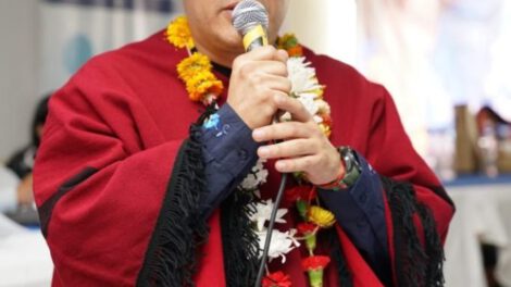 semilla de soya intacta para aditivos vegetales