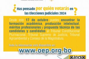Difusión de méritos elecciones judiciales 2024