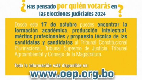 Difusión de méritos elecciones judiciales 2024
