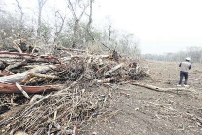Deforestación en Chiquitania