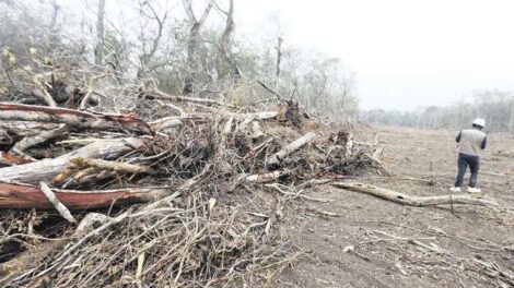 Deforestación en Chiquitania