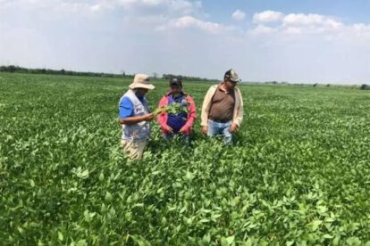 La CEPB celebra la aprobación de OGM Soya Intacta como crucial