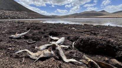 Crisis energética en Latinoamérica