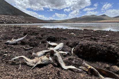 Crisis energética en Latinoamérica