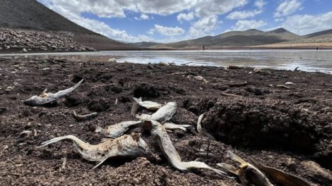 Crisis energética en Latinoamérica