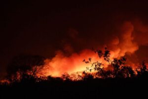 Cambio climático y salud: aumento de muertes por contaminación atmosférica