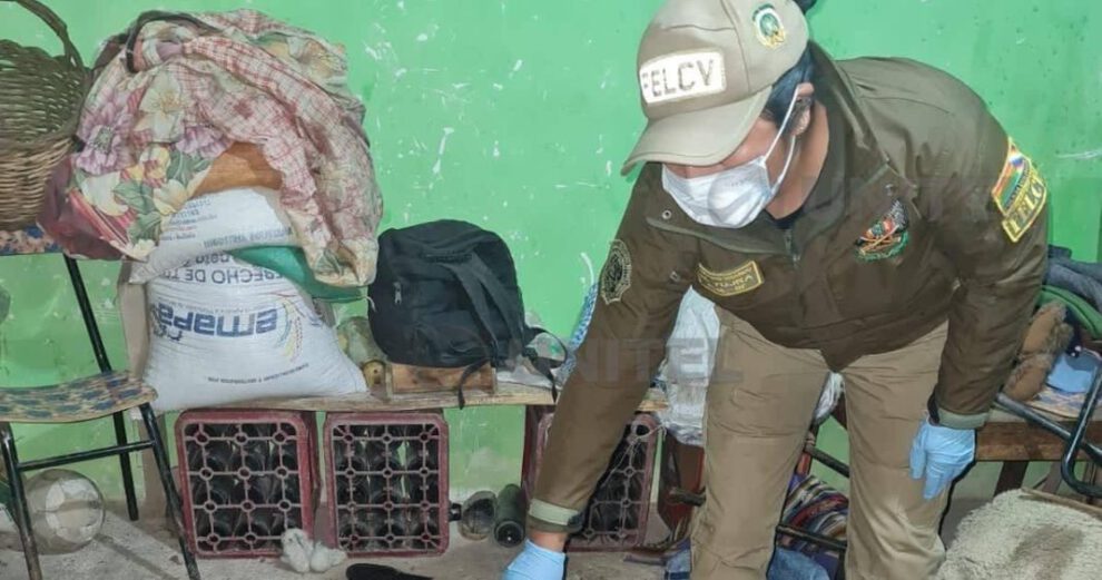 Feminicidio en Coro Coro: una mujer de 23 años es asesinada con 61 puñaladas