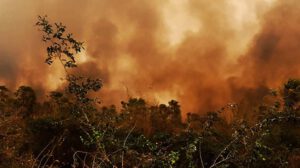 Incendios forestales en Bolivia