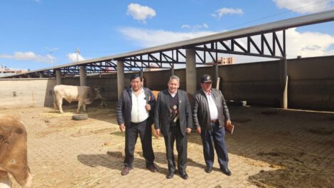 Contrabando a la inversa en Puerto Acosta