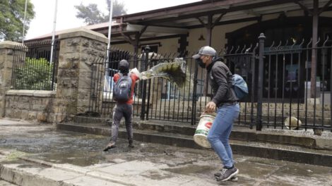 Productores lecheros Cochabamba exigen desbloquear carreteras