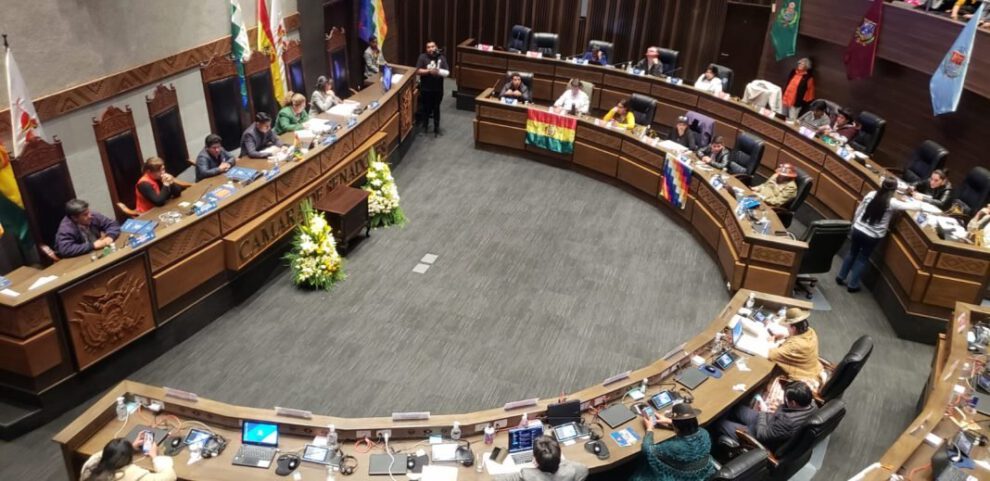 Elección del nuevo presidente de la Cámara de Senadores