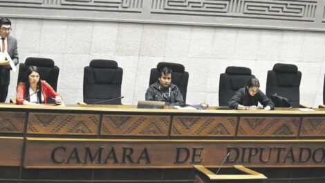 Movimiento Al Socialismo seleccionará su candidato para presidir la Cámara de Diputados