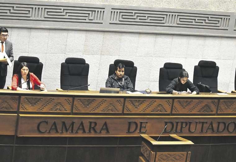 Movimiento Al Socialismo seleccionará su candidato para presidir la Cámara de Diputados