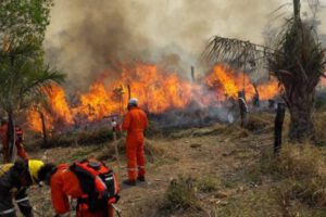 Incendios forestales en Santa Cruz arrasan más de 8,7 millones de hectáreas