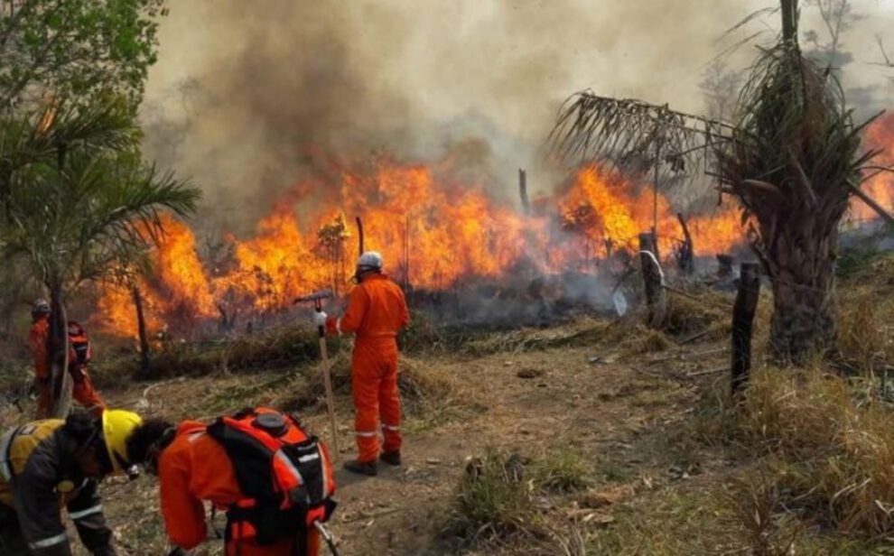 Incendios forestales en Santa Cruz arrasan más de 8,7 millones de hectáreas