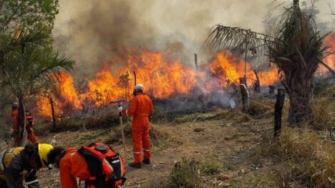Incendios forestales en Santa Cruz arrasan más de 8,7 millones de hectáreas
