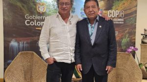 cultivos de coca en economías lícitas