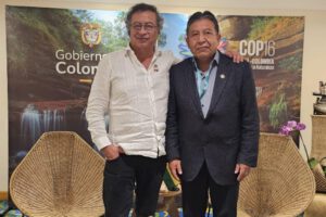 cultivos de coca en economías lícitas