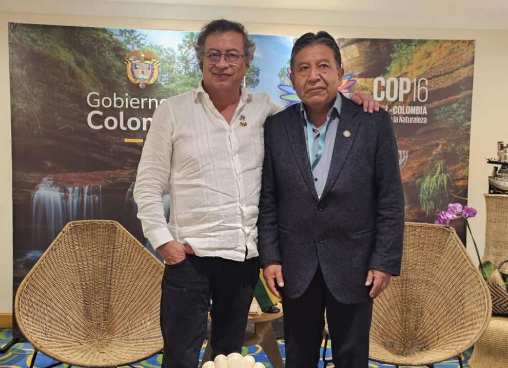 cultivos de coca en economías lícitas