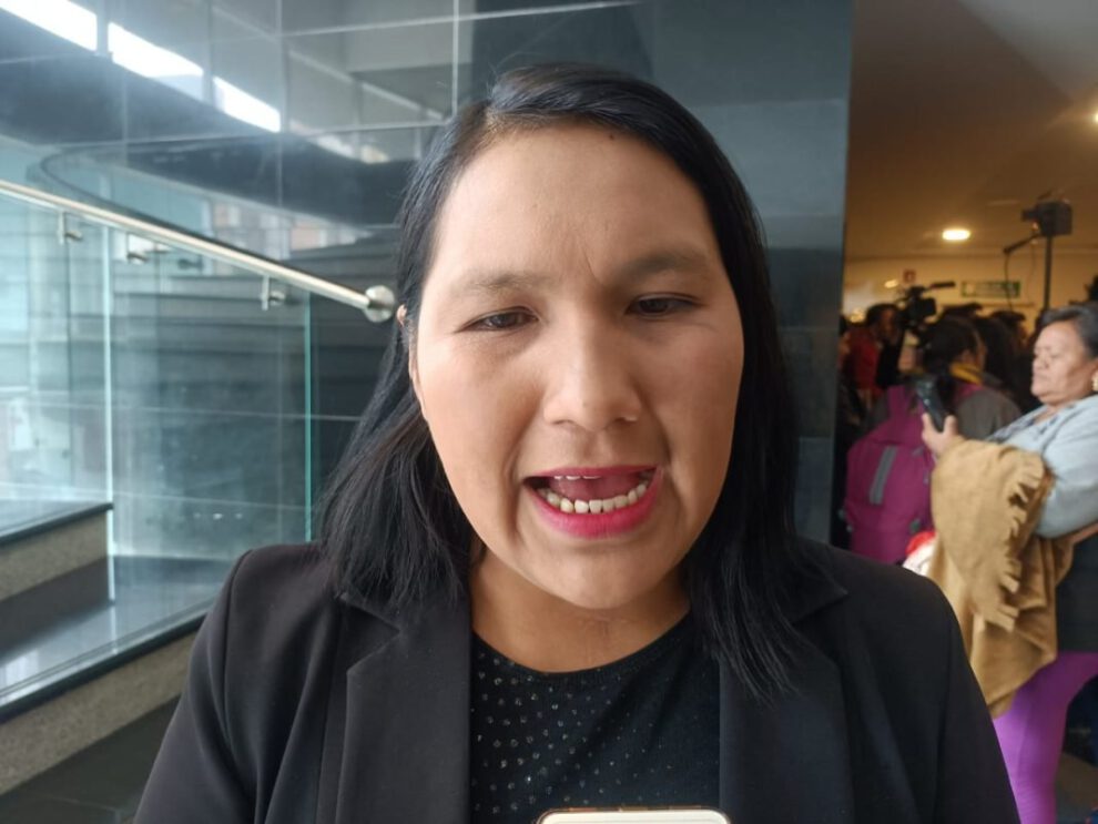 Contubernio entre MAS y magistrados denunciado por Elena Pachacute