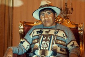 Investigación en producción camélida