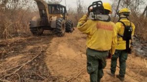 Incendio forestal en Concepción