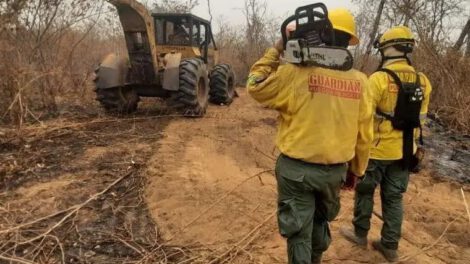 Incendio forestal en Concepción
