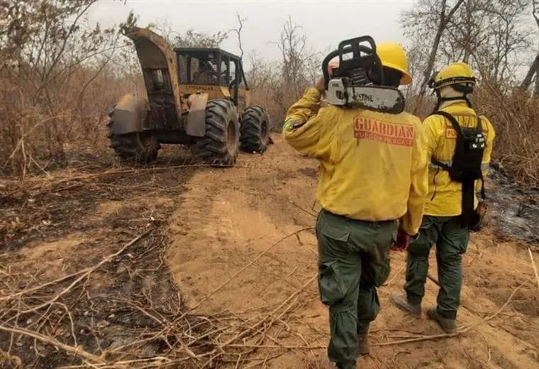 Incendio forestal en Concepción