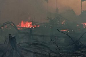 Incendio en el Madidi está siendo intervenido por grupos