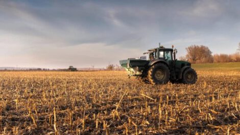 Desabastecimiento de diésel afectando la producción agrícola en Santa Cruz