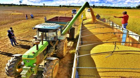 Falta de diésel en Santa Cruz afecta cosecha y siembra