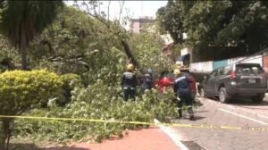 Ráfagas de viento en Santa Cruz causan más de 70 emergencias