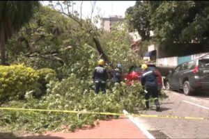 Ráfagas de viento en Santa Cruz causan más de 70 emergencias