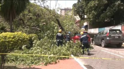 Ráfagas de viento en Santa Cruz causan más de 70 emergencias