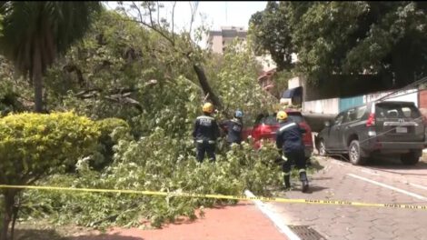 Ráfagas de viento en Santa Cruz causan más de 70 emergencias