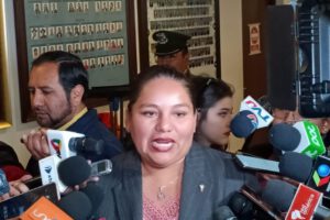 La diputada Deisy Choque discute sobre elecciones judiciales