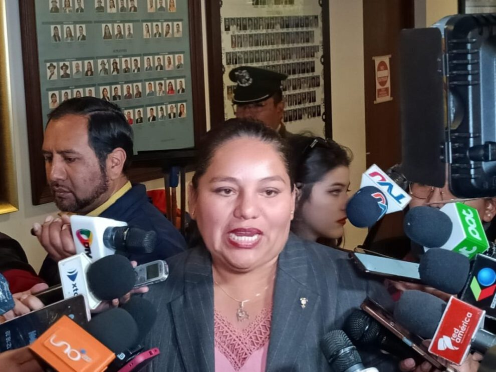 La diputada Deisy Choque discute sobre elecciones judiciales